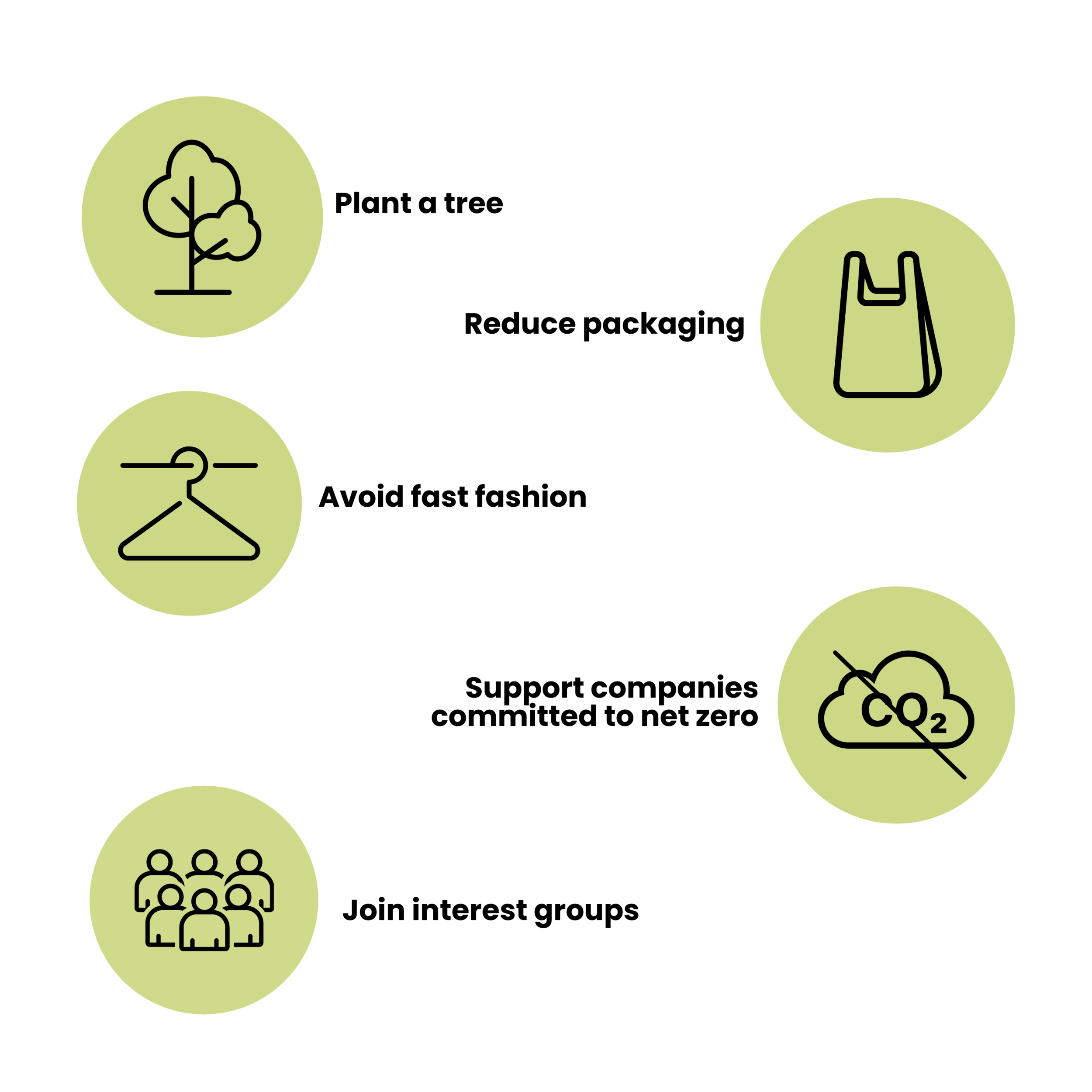 Copy of Green Illustration Butterfly Timeline Infographic (2).png